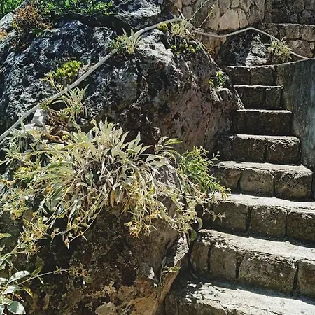 Apartment Island Getaway Mljet